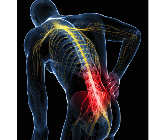 「ぎっくり腰」の痛みが消失！カイロプラクティック・整体の脊椎矯正・骨盤矯正。
