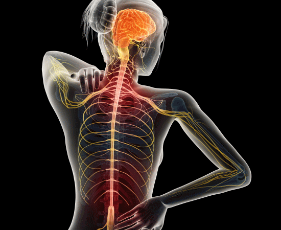 「背中の痛み」「背中の凝り」は整体、カイロプラクティックの骨格矯正で改善できます