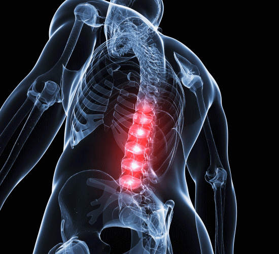 腰痛を改善するカイロプラクティックや整体の背骨矯正と骨盤矯正
