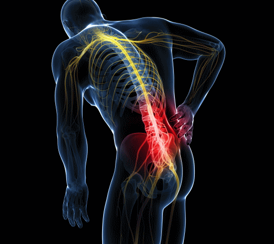 腰痛はカイロプラクティック、整体、整骨院の骨格矯正で改善できる