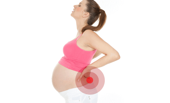 妊婦（妊娠中）の骨盤矯正、整体院、浜松市、おすすめ、カイロプラクティック、