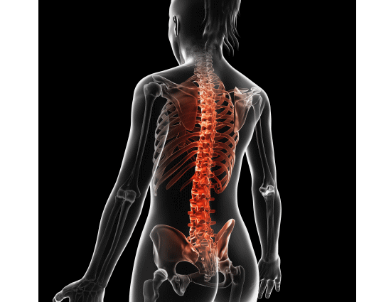 背骨の痛みを改善する背骨の矯正とカイロプラクティックと整体、整骨院（浜松市）