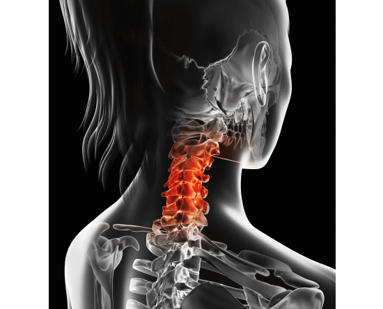 ストレートネックの治し方とカイロプラクティックと整体、整骨院の脊椎矯正（浜松市）